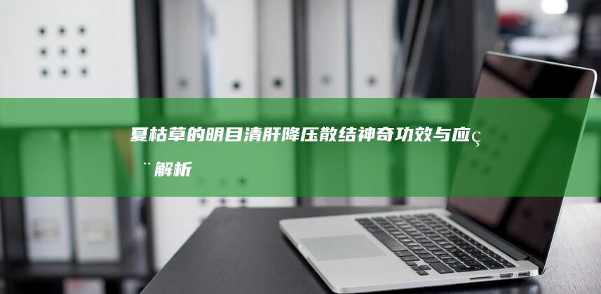 夏枯草的明目清肝、降压散结神奇功效与应用解析